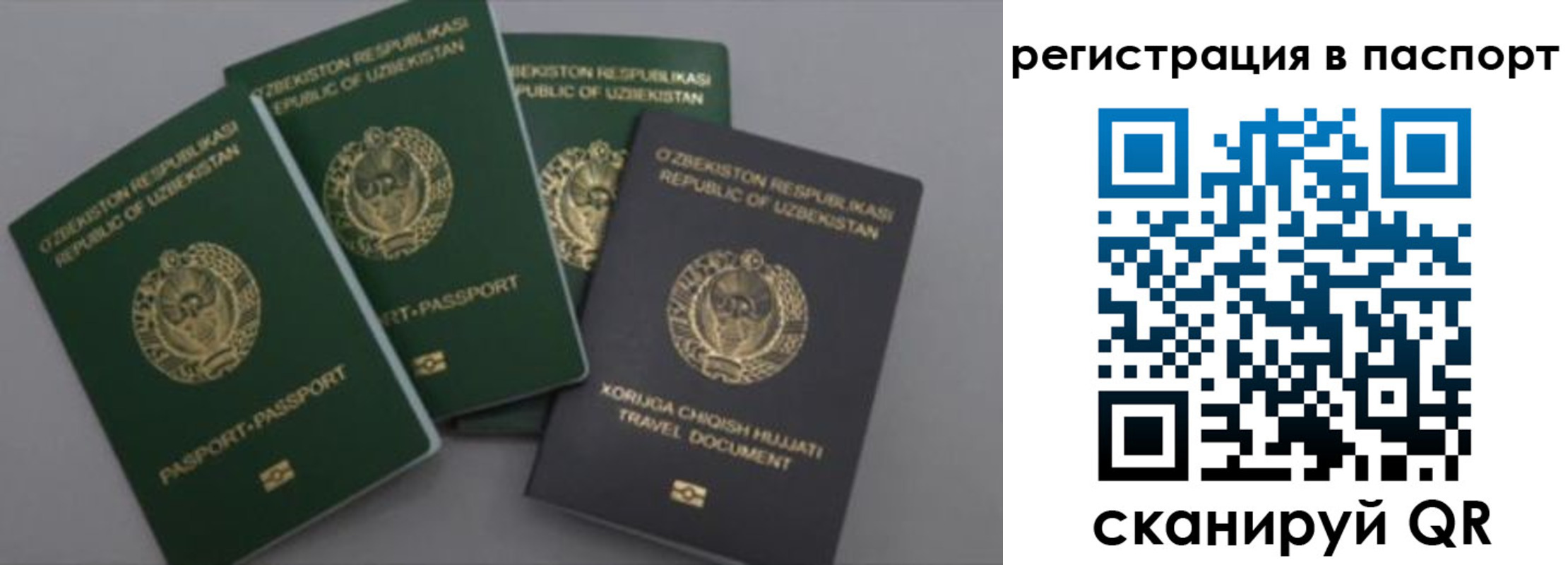 прописка от собственника в Ивантеевке